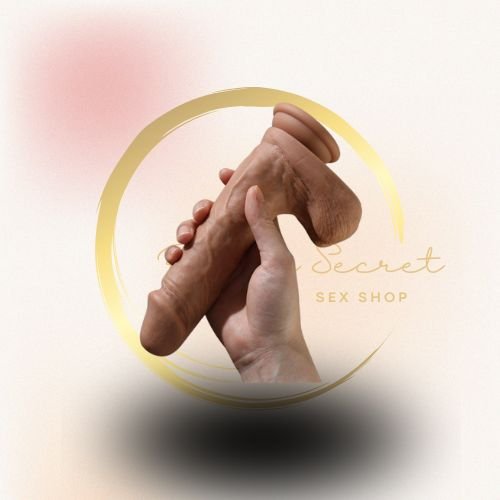 CONTROLE (25) CONTROLE (25)