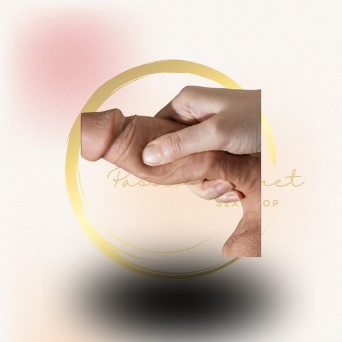 CONTROLE (26) CONTROLE (26)