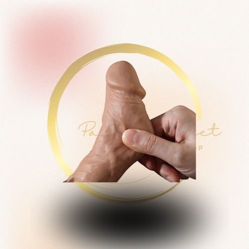 CONTROLE (27) CONTROLE (27)