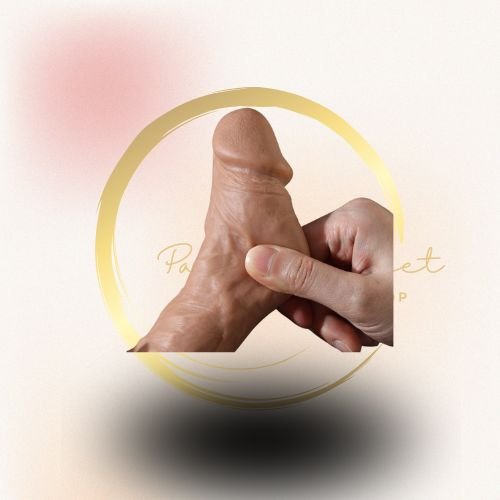 CONTROLE (28) CONTROLE (28)