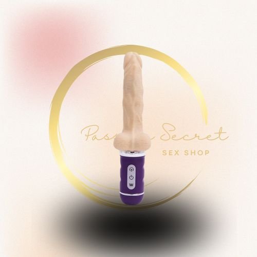 CONTROLE (29) CONTROLE (29)