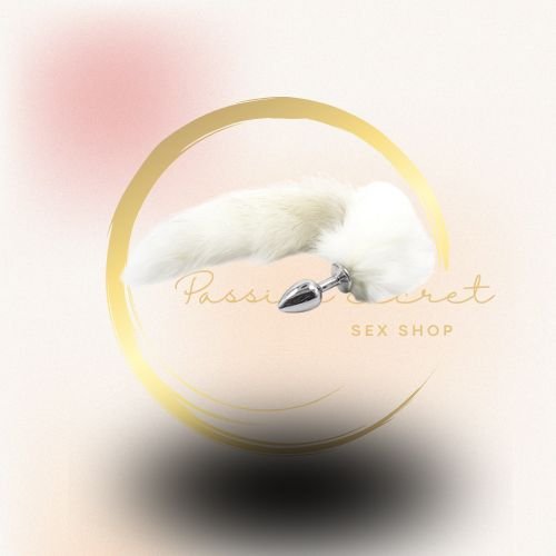 CONTROLE (41) CONTROLE (41)